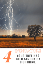 lightning striking in a field next to a tree