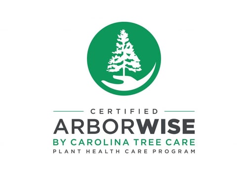 ArborWISE logo