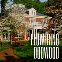 Flowering Dogwood