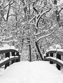 snowy bridge leading to snow-covered trees