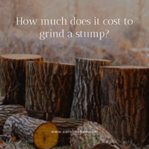 tree stumps