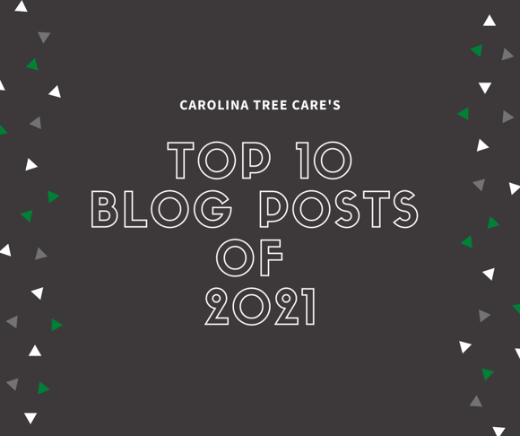 Top blog posts of 2021