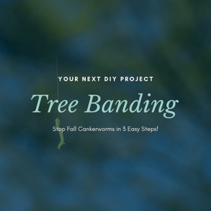 Tree Banding graphic