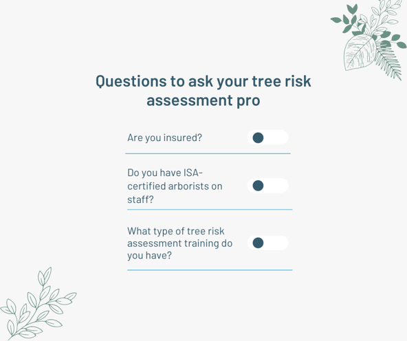 Questions to ask your tree risk assessment pro