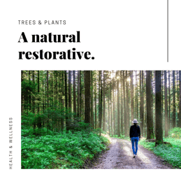Trees&Plants