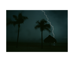 lightning striking next to palm trees