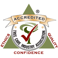 TCIA Accredited Organization - logo